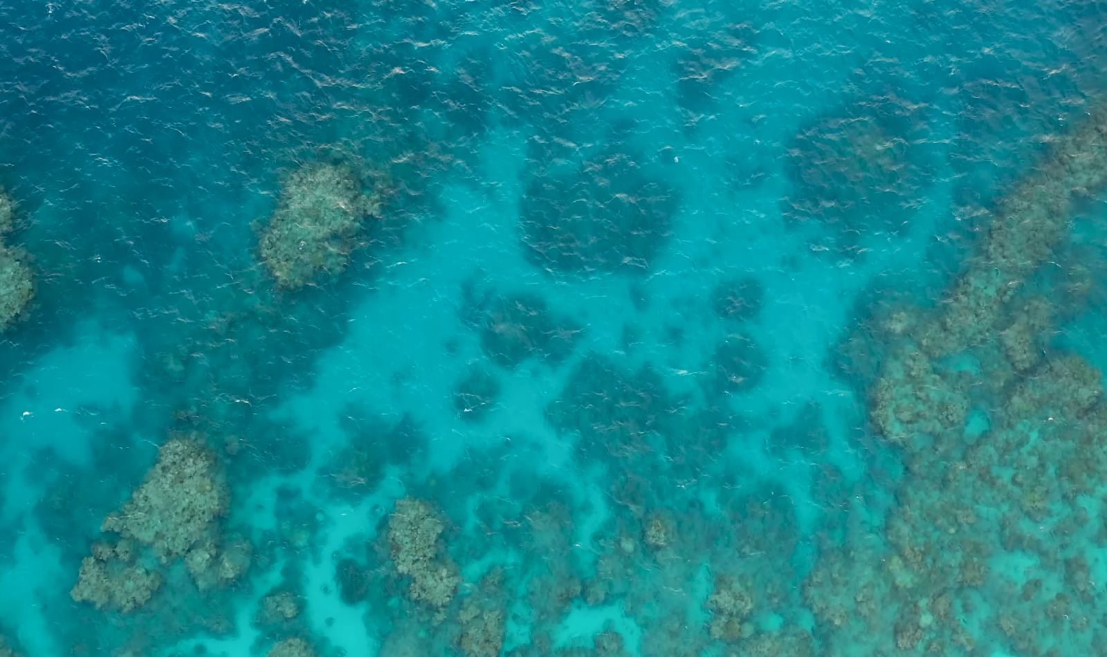 Aerial view of a Great Barrier Reef tour from Cairns